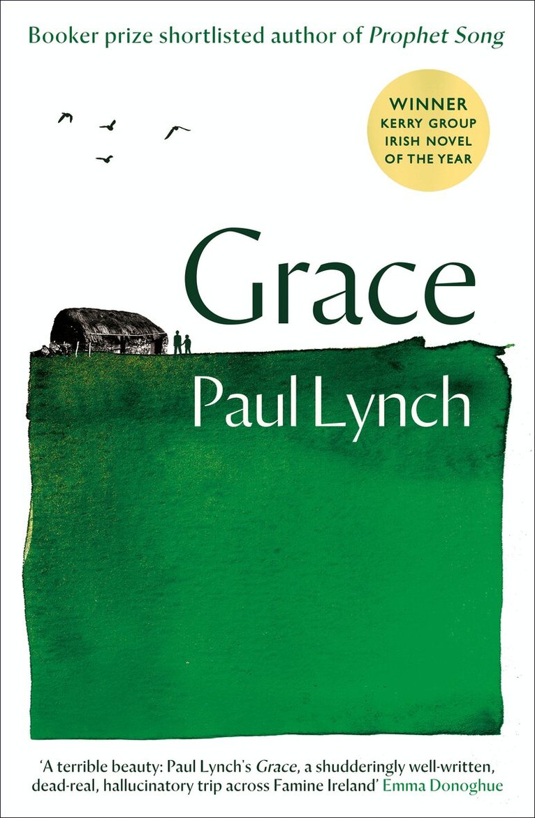 Paul Lynch - Grace, E-bok