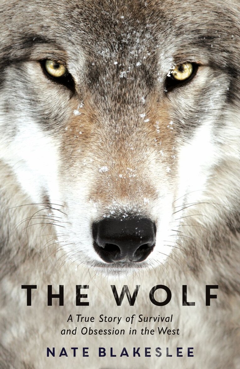 Nate Blakeslee - Wolf, Häftad