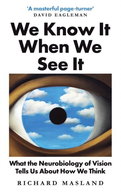 Richard Masland - We Know It When We See It, E-bok