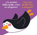 Te puedes DESLIZAR como un pingino?/Can you SLIDE like a penguin?