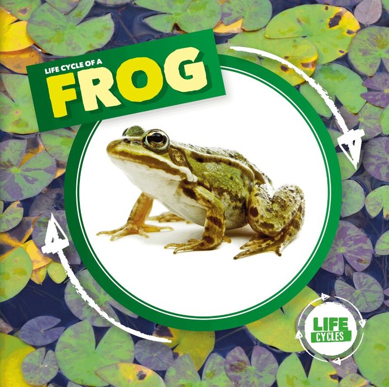 Kirsty Holmes - Life Cycle of a Frog, Inbunden