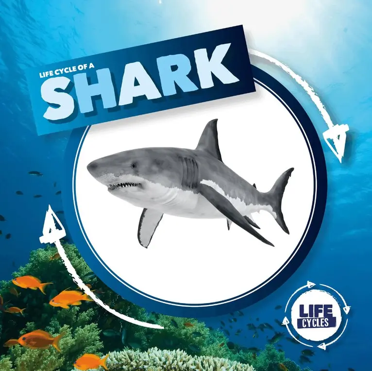 Kirsty Holmes - Life Cycle of a Shark, Inbunden. Tillgänglighet: Lägg i varukorg