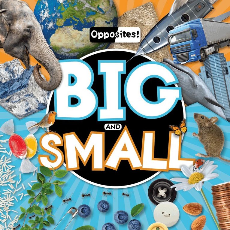 Emilie Dufresne - Big and Small, Inbunden