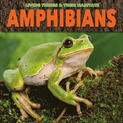 Grace Jones - Amphibians, Häftad