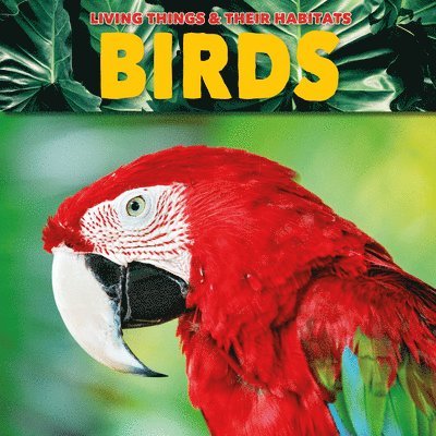 Grace Jones - Birds, Häftad