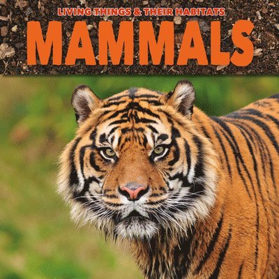 Grace Jones - Mammals, Häftad