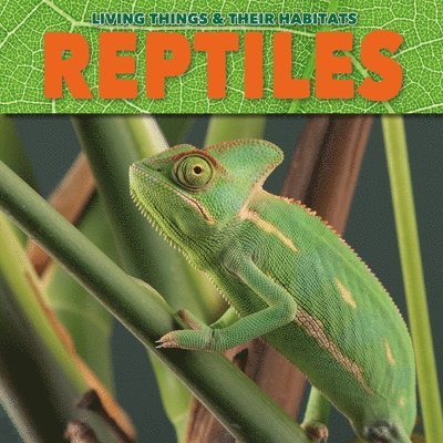 Grace Jones - Reptiles, Häftad