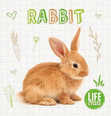 Shalini Vallepur - Rabbit, Inbunden