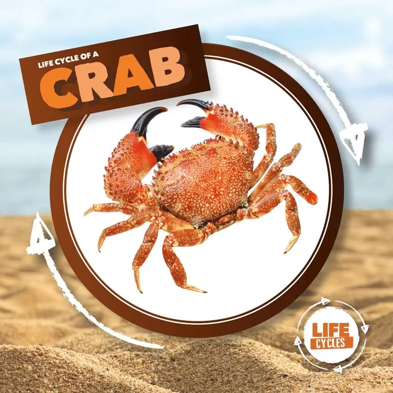Kirsty Holmes - Crab, Inbunden. Tillgänglighet: Lägg i varukorg