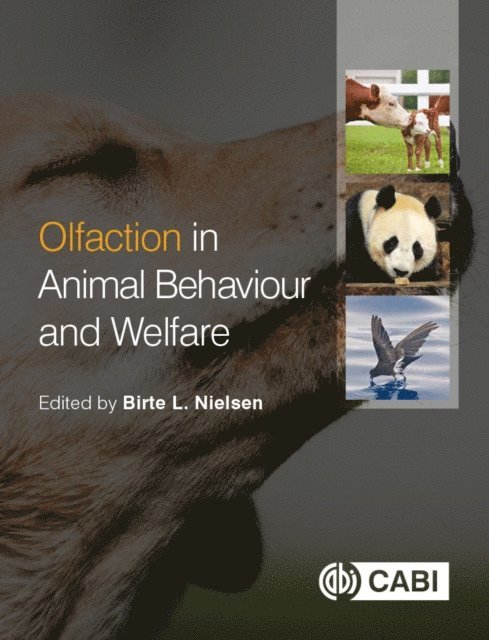 Birte L Nielsen - Olfaction in Animal Behaviour and Welfare, E-bok
