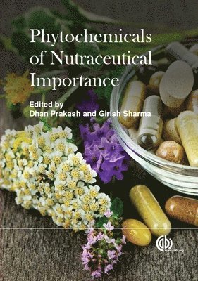 Dhan Prakash, Girish Sharma - Phytochemicals of Nutraceutical Importance, Häftad