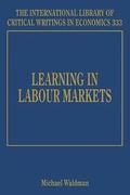 Learning in Labour Markets
