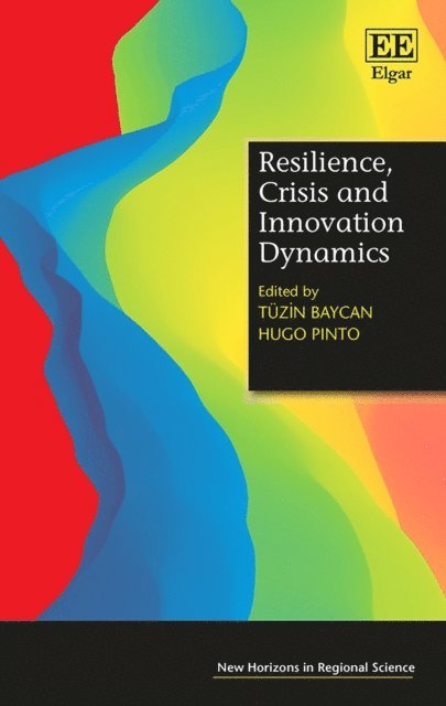 Hugo Pinto, Tuzin Baycan - Resilience, Crisis and Innovation Dynamics, E-bok