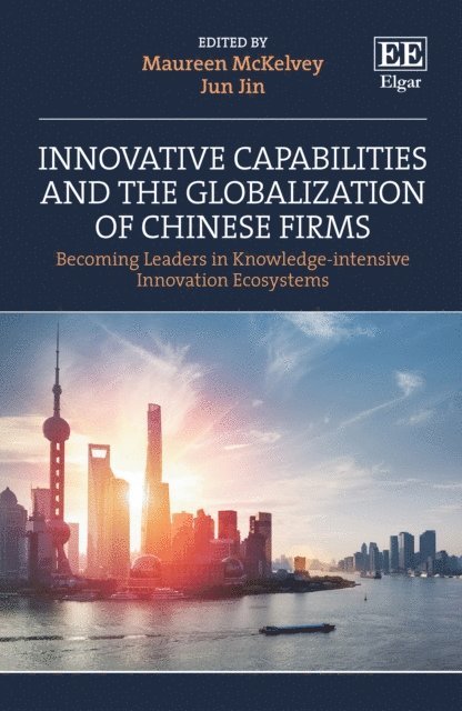 Jun Jin, Maureen McKelvey - Innovative Capabilities and the Globalization of Chinese Firms, E-bok