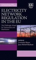 Electricity Network Regulation in the EU