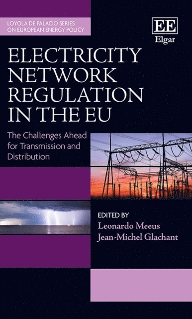 Jean-Michel Glachant, Leonardo Meeus - Electricity Network Regulation in the EU, E-bok