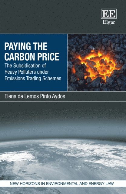 Elena de Lemos Pinto Aydos - Paying the Carbon Price, E-bok