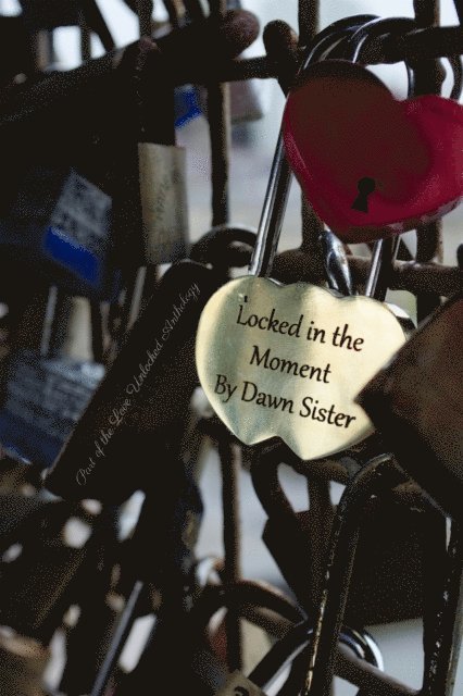 Dawn Sister - Locked in the Moment, E-bok