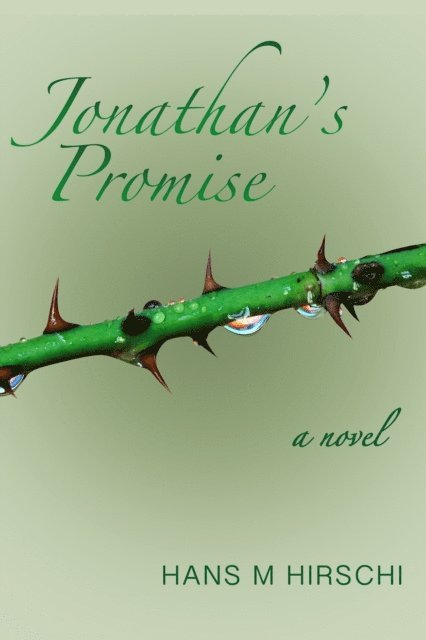 Hans M Hirschi - Jonathan's Promise, E-bok