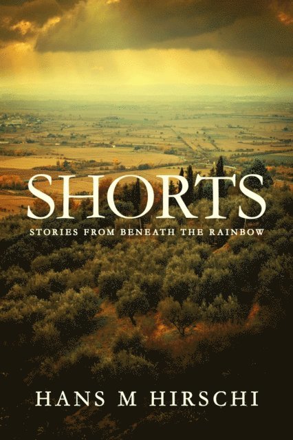 Hans M Hirschi - Shorts - Stories from Beneath the Rainbow, E-bok