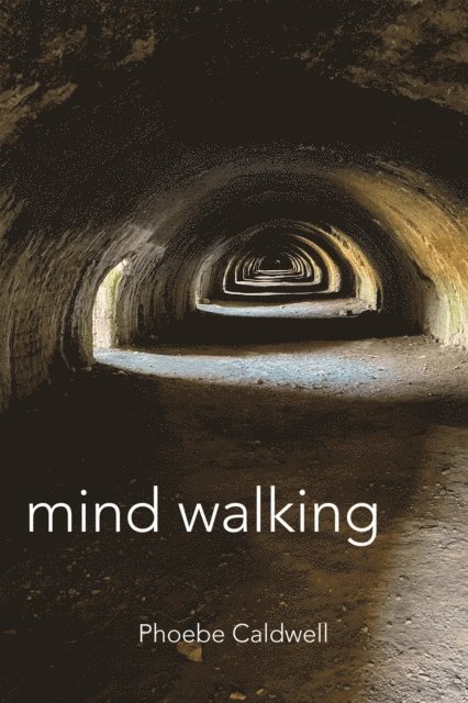 Phoebe Caldwell - Mind Walking, E-bok
