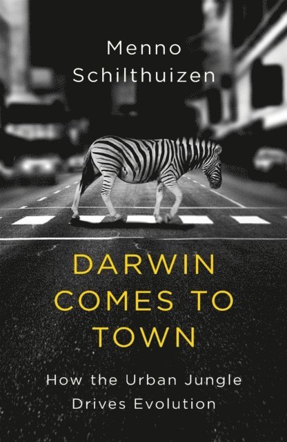 Menno Schilthuizen - Darwin Comes to Town, E-bok. Tillgänglighet: Lägg i varukorg