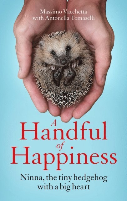 Massimo Vacchetta - Handful of Happiness, E-bok