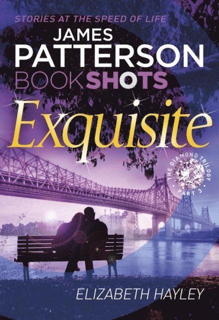 James Patterson - Exquisite, E-bok