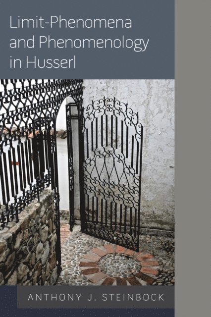 Anthony J. Steinbock - Limit-Phenomena and Phenomenology in Husserl, E-bok