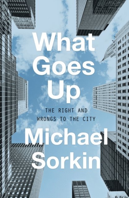 Michael Sorkin - What Goes Up, E-bok
