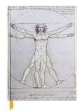 Vitruvian Man Blank Sketch Book