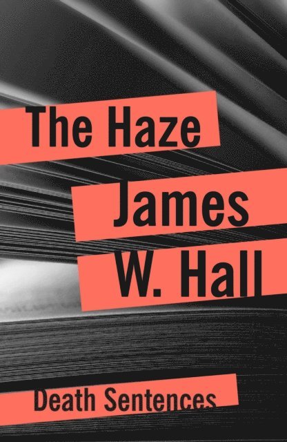 James W. Hall - Haze, E-bok