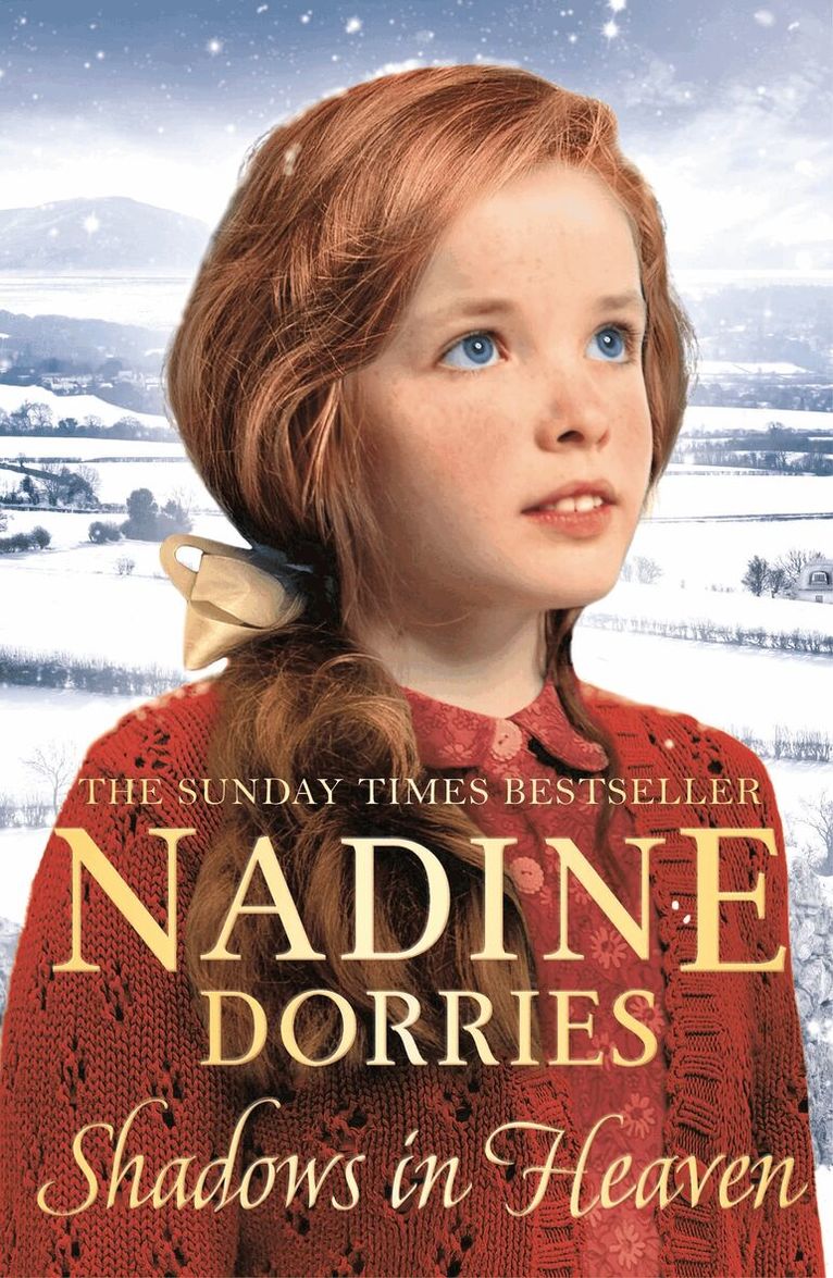 Nadine Dorries - Shadows in Heaven, Häftad