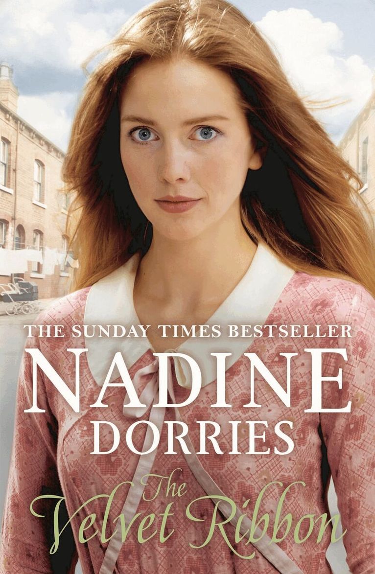 Nadine Dorries - Velvet Ribbon, Häftad