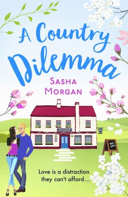 Sasha Morgan - Country Dilemma, E-bok