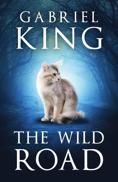 Gabriel King - Wild Road, E-bok
