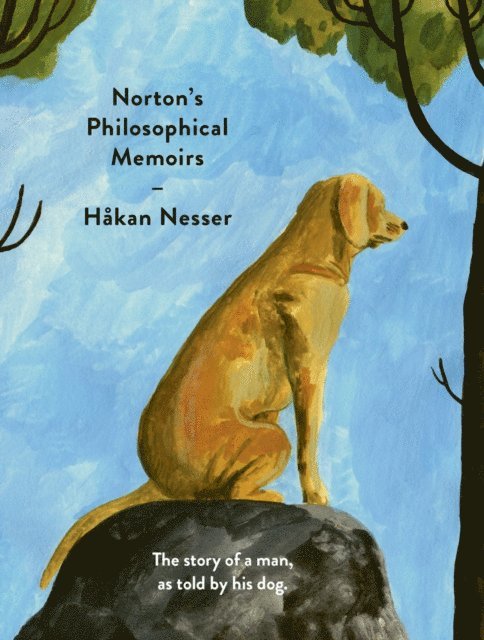Hakan Nesser - Norton's Philosophical Memoirs, E-bok