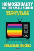 Homosexuality on the Small Screen