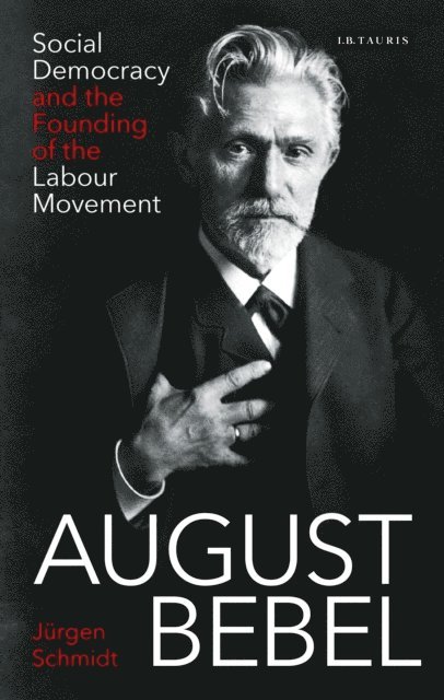 Jürgen Schmidt - August Bebel, E-bok