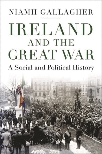 Niamh Gallagher - Ireland and the Great War, E-bok