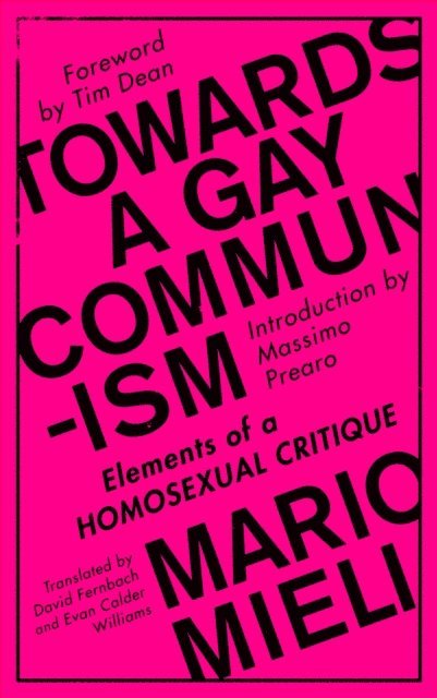 Mario Mieli - Towards a Gay Communism, E-bok