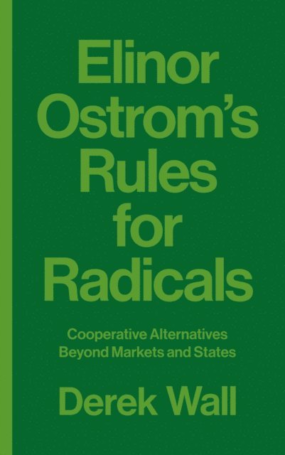 Derek Wall - Elinor Ostrom's Rules for Radicals, E-bok