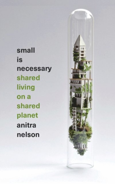 Anitra Nelson - Small is Necessary, E-bok