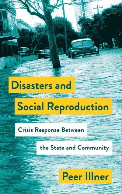 Peer Illner - Disasters and Social Reproduction, E-bok