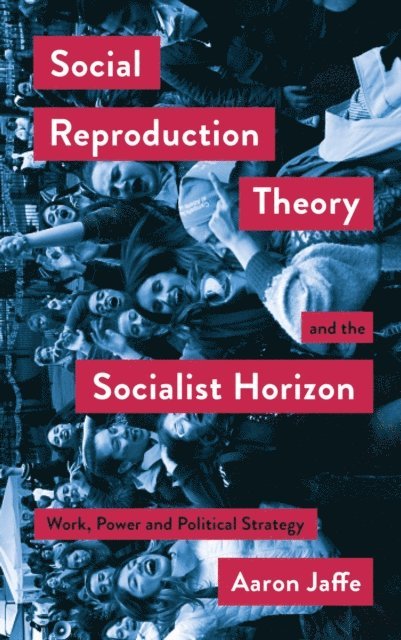 Aaron Jaffe - Social Reproduction Theory and the Socialist Horizon, E-bok