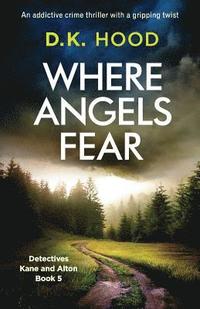 Where Angels Fear