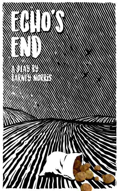 Barney Norris - Echo's End, E-bok