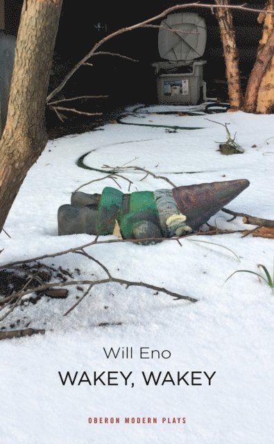 Will Eno - Wakey Wakey, E-bok