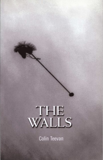 Colin Teevan - Walls, E-bok