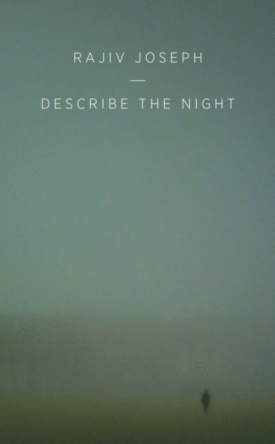 Rajiv Joseph - Describe the Night, E-bok